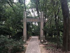 -上海佘山国家森林公园天马山园