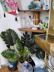 -新雨池不针清祛痘