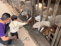 -呀路古热带植物园