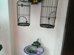 -湖庭壹品鸭王·传统北京烤鸭·别墅私房菜·庭院宵夜(江宁店)