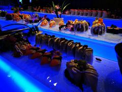 -亚马逊环球美食百汇(新城吾悦广场店)