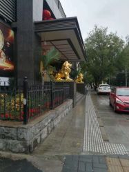 -中国黄金(北京旗舰店)