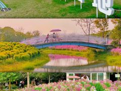 -花开海上生态园