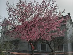 -中国钧瓷文化园