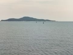 -幸福门