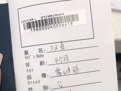 -申普宠物医院·心脏介入·心血管微创(总院)