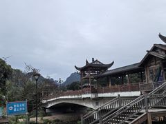 -印象鲵宴·张家界地标美食名片(溪布街店)