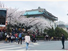 -武汉大学-樱园