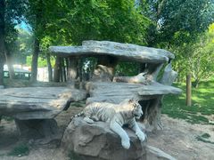 -北京野生动物园