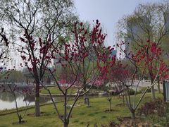 -西海子公园