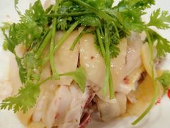 振鼎鸡-振鼎鸡(天钥桥路店)