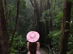 -七仙岭温泉国家森林公园