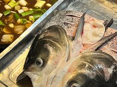 -姥家大锅台水库渔家