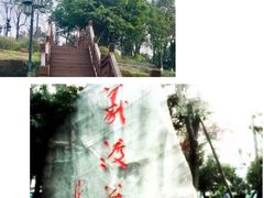-大渡口区义渡公园