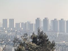 -府君山公园