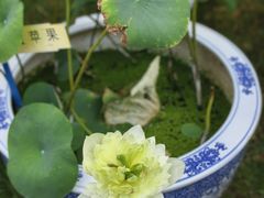 -黄兴公园