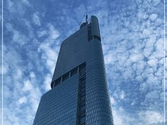 -紫峰大厦