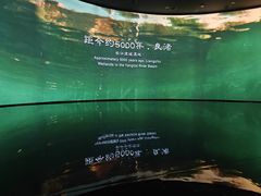 -中国湿地博物馆