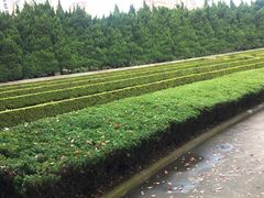 -上海市龙华烈士陵园