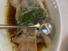 清蒸花雕鱼1条-帝源轩酒楼(卡瑞登店)