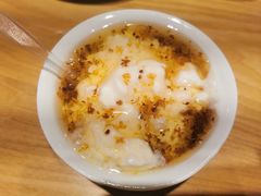 -古树酸奶(八廓南街店)
