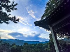 -国家植物园南园