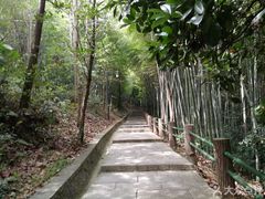 -敬亭山风景名胜区