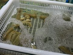 -春华海鲜自助(海城店)