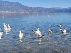 -丽江泸沽湖景区