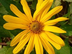 -长勺子东南亚(街道口店)