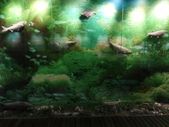 -苏州河梦清园环保主题公园