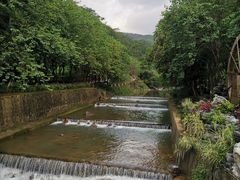 -广州白江湖森林公园