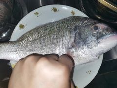 -浦商菜市场·锦德店