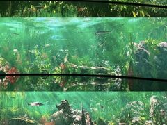 -中国湿地博物馆