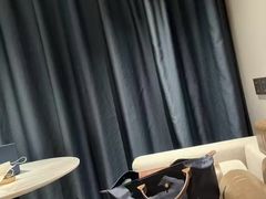 -深圳楚天大酒店(福田口岸深圳会展中心店)