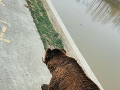 -上海野生动物园