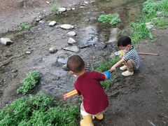 -白水寺森林公园