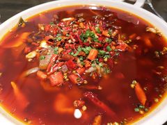 毛血旺-庆合府重庆大排档(紫都城店)