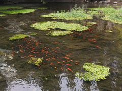 -水磨沟公园