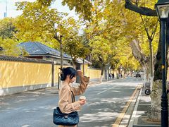 -好一朵茉莉花(老门东店)