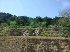 -山西通天峡景区