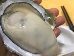 -蚝专家(北滘店)