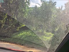 -莫里热带雨林景区