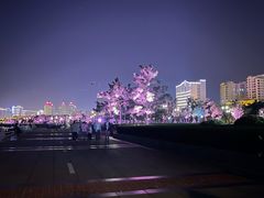 -幸福门