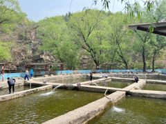 -双新垂钓园