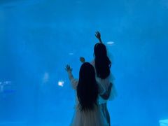 -海合安成都极地海洋公园
