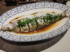 -千百味红餐厅·非遗江西菜(绿地双子塔总店)