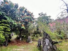 -国恩寺