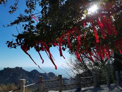 -青岛崂山太清宫