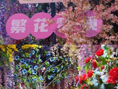 -正佳雨林生态植物园